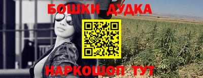 альфа пвп Заводоуковск