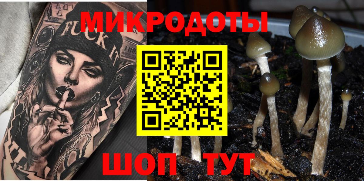 Псилоцибиновые грибы Magic Shrooms Волгоград