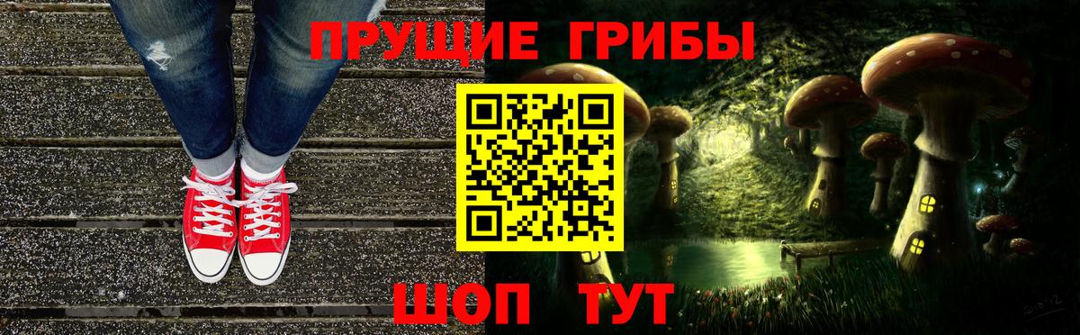 Волгоград  Галлюциногенные грибы GOLDEN TEACHER  Вход с VPN 